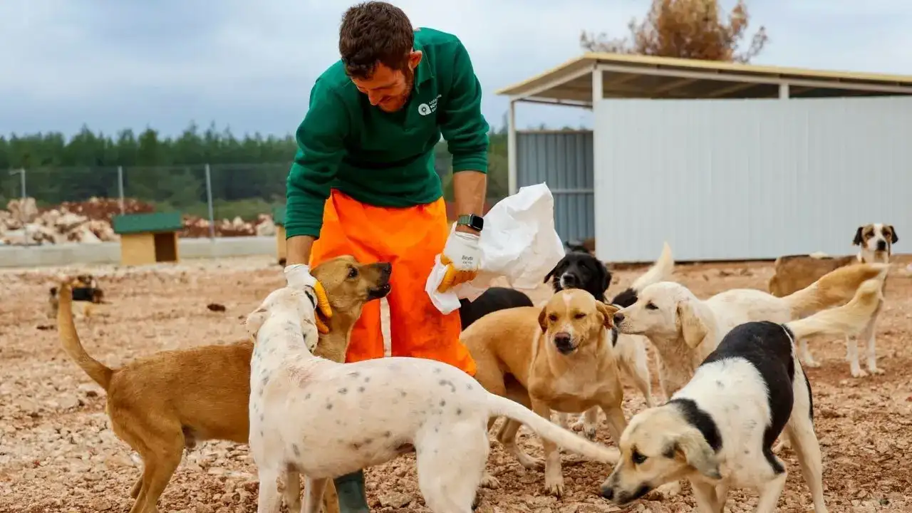 Antalya’da Can Dostlara Müjde: Bakımevi Alanı 84 Dönüme Çıktı! 3